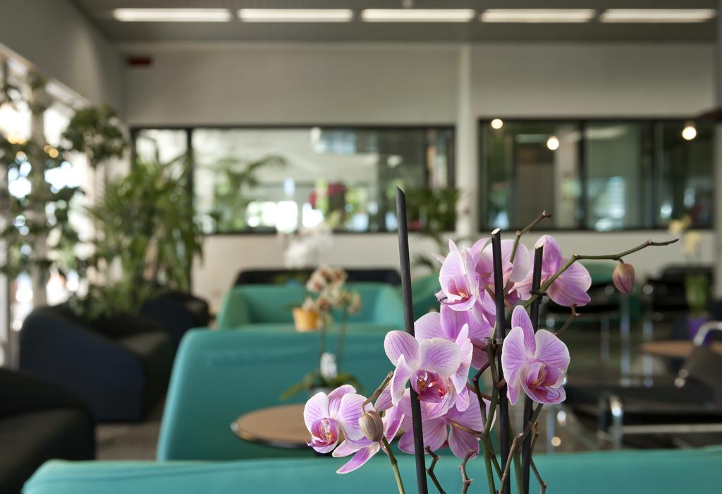 Hotel Cormoran Cattolica Eksteriør billede