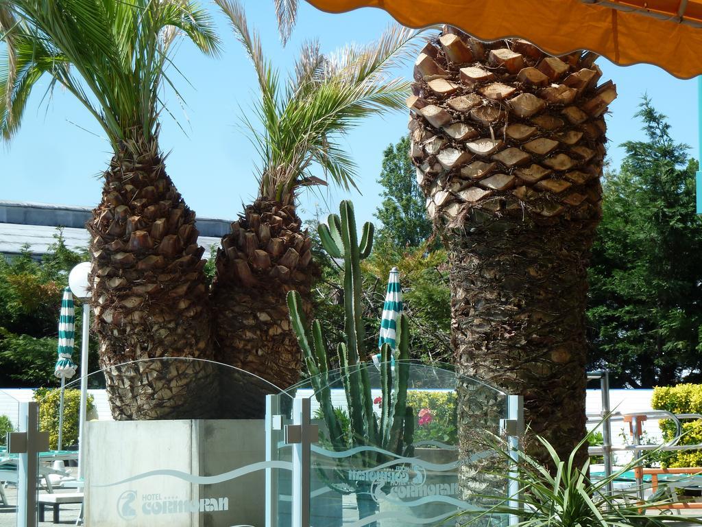Hotel Cormoran Cattolica Eksteriør billede